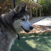 Profile Picture of Carly Carter (@carlycarter4908) on Youtube