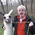 Profile Picture of Joe Schramml (@schrammljoe) on Instagram