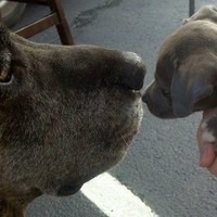 Profile Picture of Sarah Keith (@sarah-keith-4) on Quora