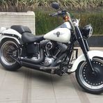 Profile Picture of Christer Johannessen (@christer.johannessen.50) on Facebook