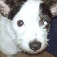 Profile Picture of Jean F. Corkill (@jean-f-corkill) on Quora