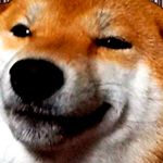 Profile Picture of AndrewKawasaki (@andrew__kawasaki) on Instagram