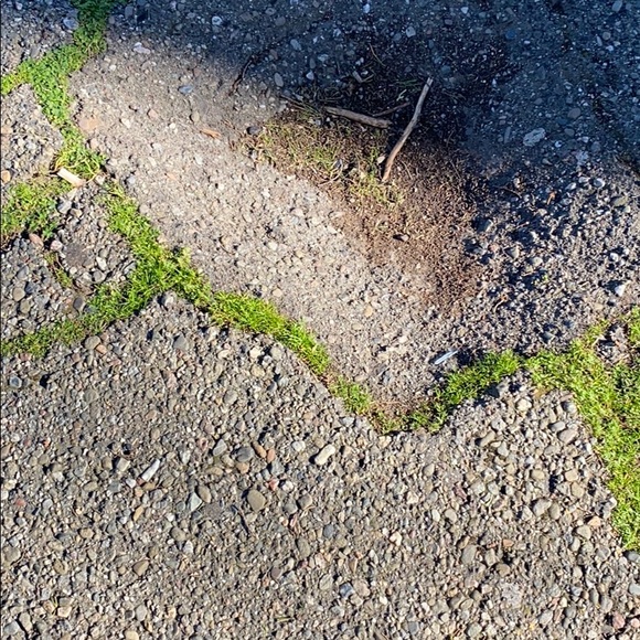 Profile Picture of Jose Omar (@joseomar89) on Poshmark