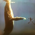 Profile Picture of J Pyles (@whatsthepointnopoint) on Instagram