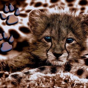 Profile Picture of Lisa Surratt (@Lisams349) on Twitter