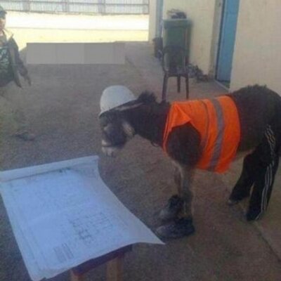 Profile Picture of Alexander Caruso (@AlexanderCarus1) on Twitter