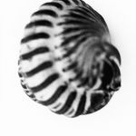 Profile Picture of kevin jerome everson (@trilobite) on Instagram