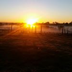 Profile Picture of Brad Gibson (@brad.gibson.129) on Instagram