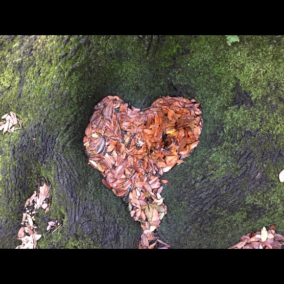 Profile Picture of Drew Mason (@dkm0730) on Poshmark