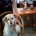 Profile Picture of Marilyn Beaton (@marilyn.beaton.56) on Facebook