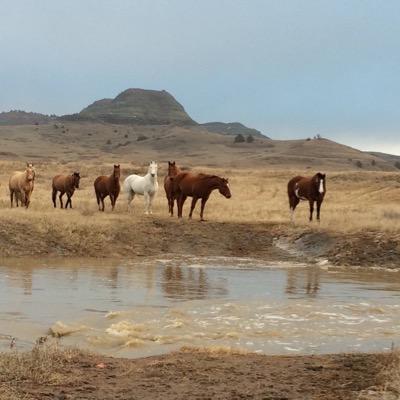 Kole James - Twitter Profile Picture of Kole James (@KoleJames1) on Twitter