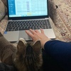 Profile Picture of ViolettaFent (@@sallyfenton) on Tiktok