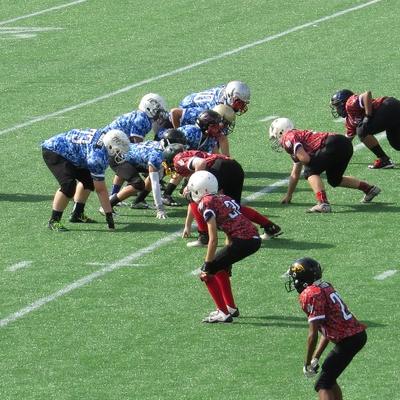 Profile Picture of Kyle (@MishCattFan) on Twitter