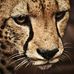 Profile Picture of Jeremy Hopkinson (@jeremy.hopkinson.750) on Facebook