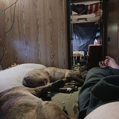 Profile Picture of Slingblade (@buddytripp5) on Tiktok