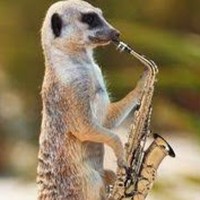 Profile Picture of Franco Alcantara-gonzalez (@franco-alcantara-gonzalez) on Quora