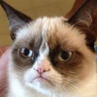 Profile Picture of Bryan Serino (@bryanserino) on Twitter