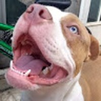 Profile Picture of Sean Bowles (@sean-bowles-13) on Quora