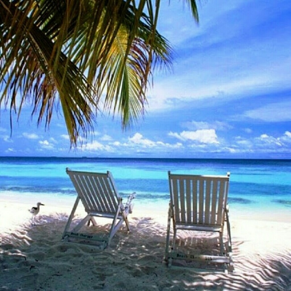 Profile Picture of Cynthia Fitcher (@cafitcher) on Poshmark