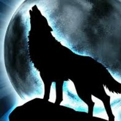 Profile Picture of Franco Daniel Giuliano (@francoskr20) on Twitter