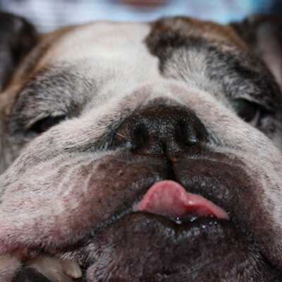 Profile Picture of Peter (good Tweets Only) (@peterhassett) on Twitter