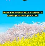 Profile Picture of Peter Casagrande (@Peter-Casagrande) on Facebook