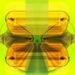 Profile Picture of Andrew Rubinstein (@arubinstein) on Pinterest