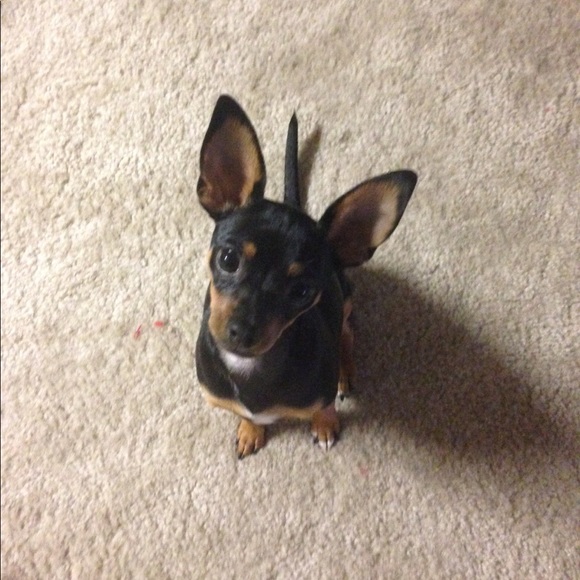 Profile Picture of Brian Littlejohn (@bdl03) on Poshmark