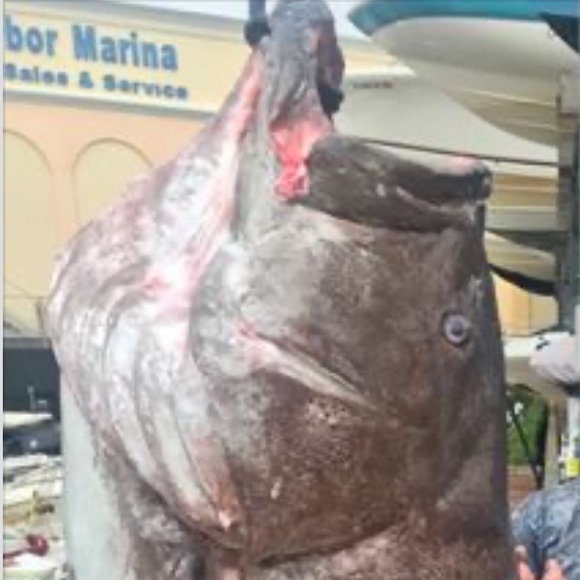 Profile Picture of Michael Baer (@mbaer109) on Poshmark