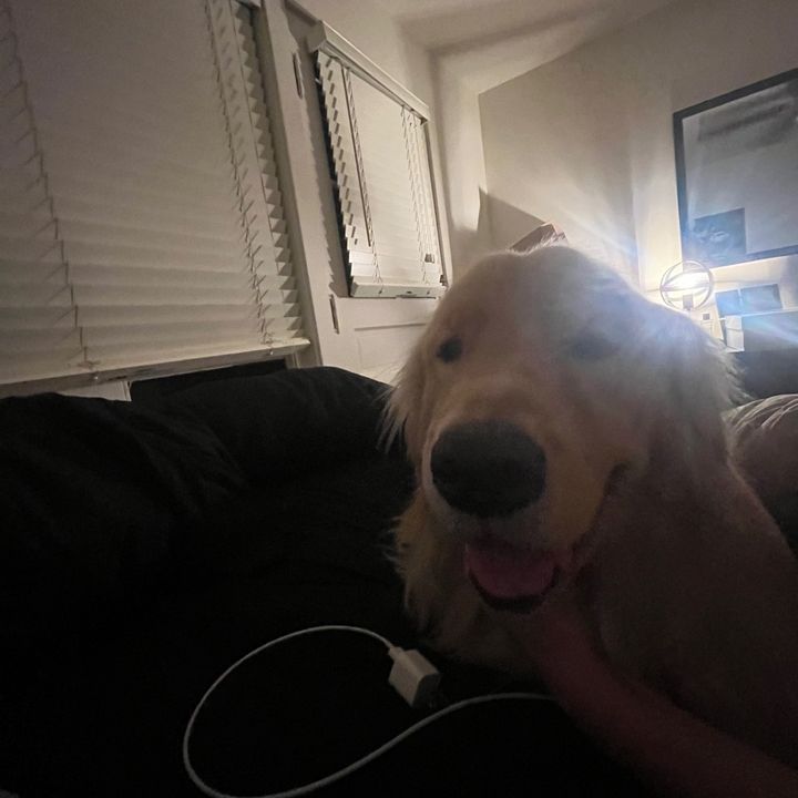 Profile Picture of • (@kevinretzloff) on Tiktok