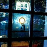 Profile Picture of Rene Hickey (@renehickey) on Instagram