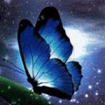 Profile Picture of Lori Bishop Triplett (@loribishoptriplett) on Instagram