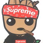 Profile Picture of Daniel Murguia (@daniel_m2m) on Instagram