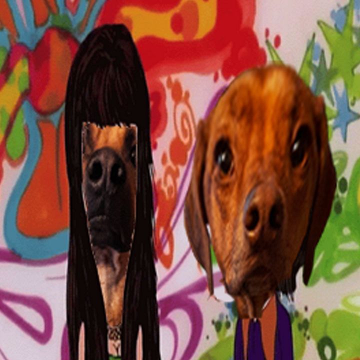 Profile Picture of Kevin Kearney (@seattledogpower) on Tiktok