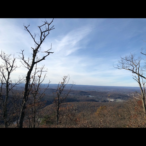 Profile Picture of Jasmine Li (@alyssak66) on Poshmark