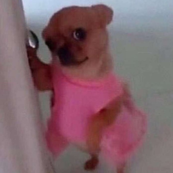 Profile Picture of Ang Bruzzi (@angiebruzzi) on Poshmark