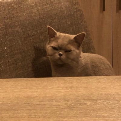 Profile Picture of Marco `wsx` Bartoli (@wsxarcher) on Twitter