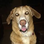 Profile Picture of Jason 🎉 (@jason_ammons14) on Instagram