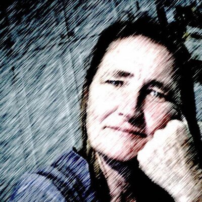 Profile Picture of Nancy Howe (@howecurious) on Twitter