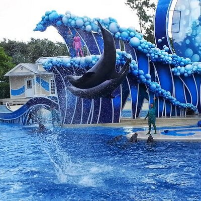 Profile Picture of Joseph Bamber (@JmbMmc) on Twitter