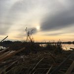 Profile Picture of Jeremiah Morrell (@jermorrell) on Instagram