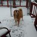 Profile Picture of Sharon Renfroe (@sharon_renfroe) on Pinterest
