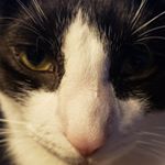 Jonathan K. Leery - Instagram Profile Picture of Jonathan K. Leery (@jonathan.k.leery) on Instagram