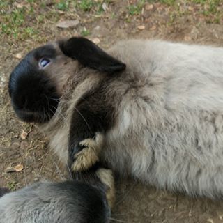 Profile Picture of Thomas Jin (@thomas.jin.1829) on Facebook