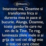 Profile Picture of Racean Oana Daniela (@raceanoana) on Instagram