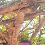 Profile Picture of Arthur Joshua (@Arthur-Joshua) on Facebook