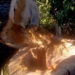 Profile Picture of Mark Greenwood (@Mark-Greenwood) on Facebook