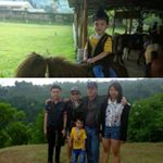 Profile Picture of Ling Ling Guo (@lingling.guo.56) on Instagram