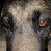 Profile Picture of Michael Laser (@michael.laser.7106) on Facebook