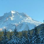 Profile Picture of Joshua Burley (@solitar717) on Instagram